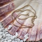 Image 5 of Gold gourmet link chain