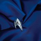 Image 6 of Silver ring with raven skull