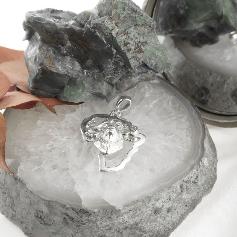 Image 7 of Silver pendant with African buffalo