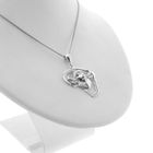 Image 6 of Silver pendant with African buffalo