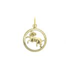 Image 1 of Gold zodiac sign pendant; Aries