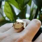 Image 12 of Golden fantasy ring