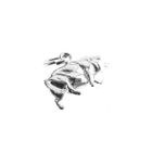 Image 3 of Silver charm; Pig