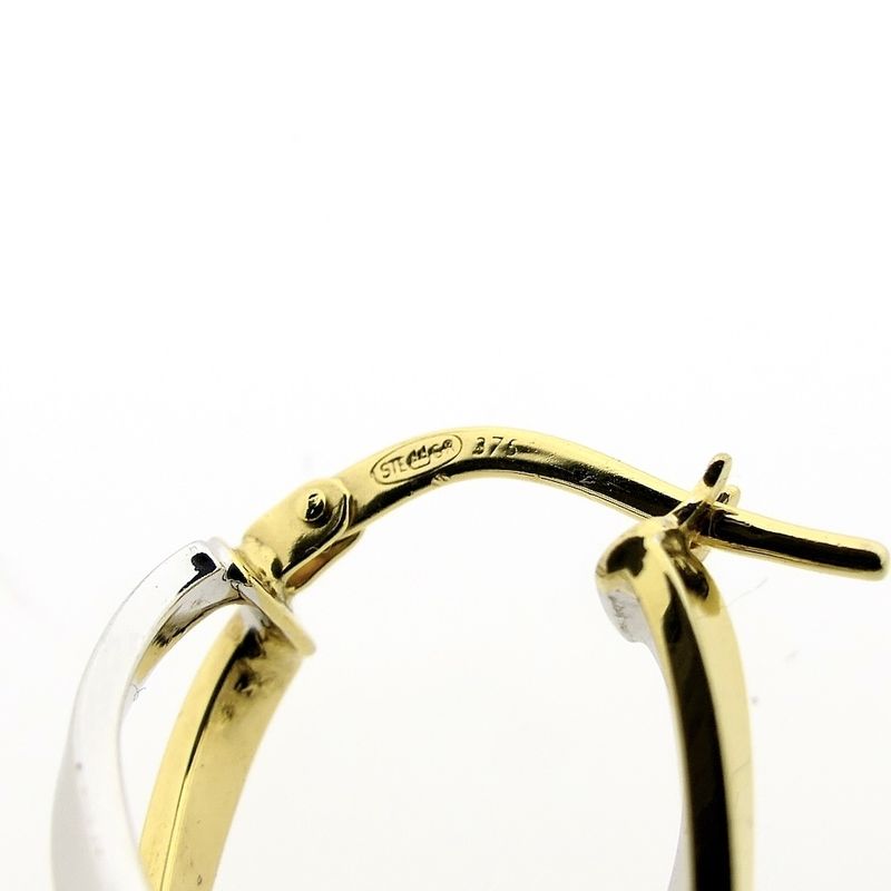 Image 6 of 9Kt. Bicolor earrings