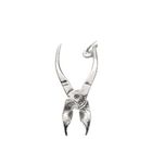 Image 1 of Silver charm; Pliers