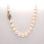 Image 4 of Antique pearl necklace with gold clasp