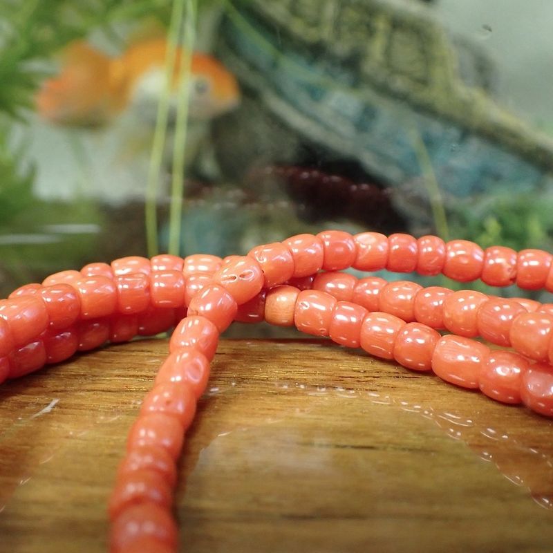 Image 5 of Blood coral bead necklace with gold clasp; Antique | 80 cm