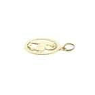 Image 8 of Golden zodiac sign pendant Capricorn