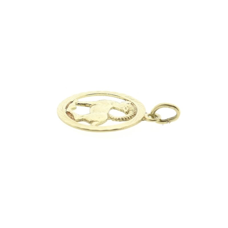 Image 8 of Golden zodiac sign pendant Capricorn