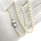 Image 13 of Pearl necklace with white gold clasp and sapphire | 49 cm