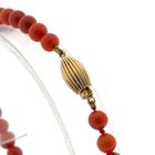 Image 5 of Blood coral bead bracelet with gold clasp
