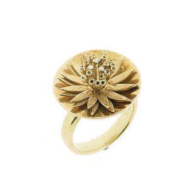 Afbeelding 1 van Gouden statementring met diamanten; 0,03 ct.