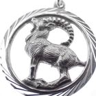 Image 3 of Silver zodiac sign pendant; Capricorn