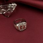 Image 8 of Silver men's ring | Playboy