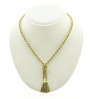 Golden twisted link chain.