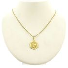 Image 7 of Golden Leo zodiac sign pendant.