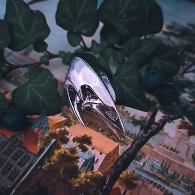 Image 2 of Silver ring with raven skull