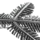 Image 3 of Silver brooch | Needle branch