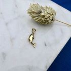 Afbeelding 2 van Gouden hanger van een dolfijn