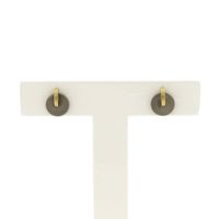Gold stud earrings with titanium