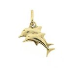 Image 1 of Golden dolphin pendant