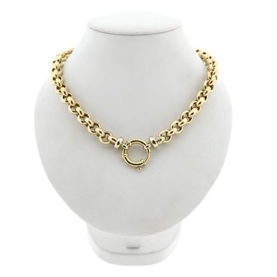 Afbeelding 1 van Gouden jasseronschakel collier | 46 cm
