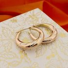 Image 2 of 8Kt. Earrings | Ø 25.3 mm