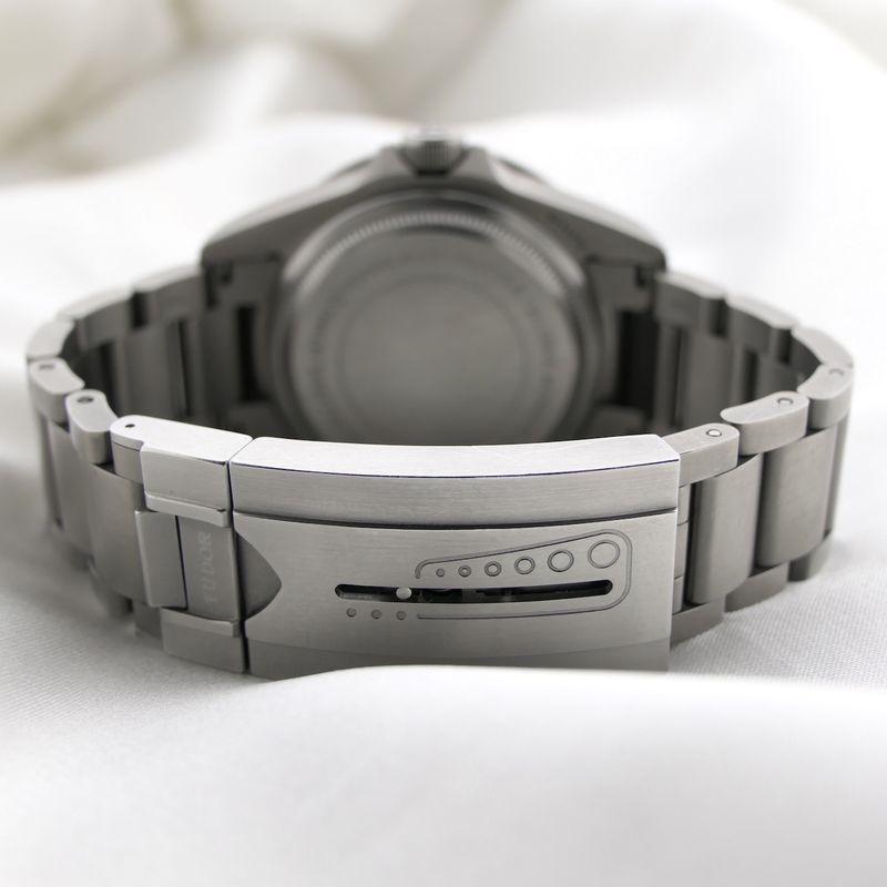 Image 17 of Tudor Pelagos 25600TN; Titanium men's watch