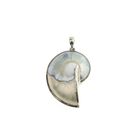 Image 1 of Silver shell pendant; Nautilus