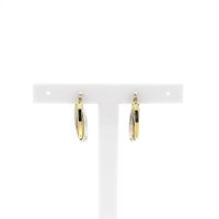 Two-tone gold earrings