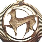 Image 5 of Gold Capricorn pendant