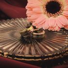 Image 6 of Two-tone gold hinged hoop earrings; Ø 14.7 mm