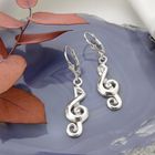 Image 2 of Silver earrings | Musical note