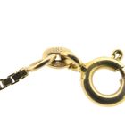 Image 8 of Antique gold Venetian link chain with fixed pendant and blood coral