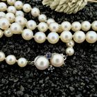 Image 2 of Pearl necklace with white gold clasp and sapphire | 49 cm
