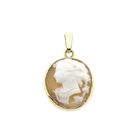 Image 1 of Gold pendant with cameo