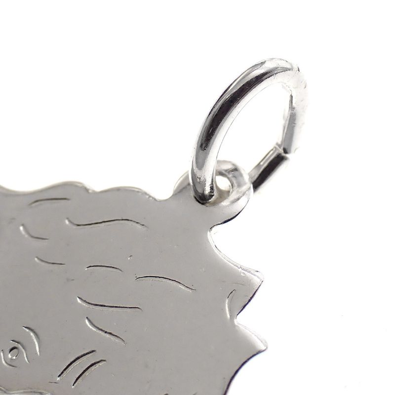 Image 4 of Silver charm; Children's heads (boy and girl)