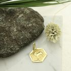 Image 2 of Golden Leo zodiac sign pendant.