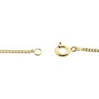 Image 3 of Gold gourmet link chain