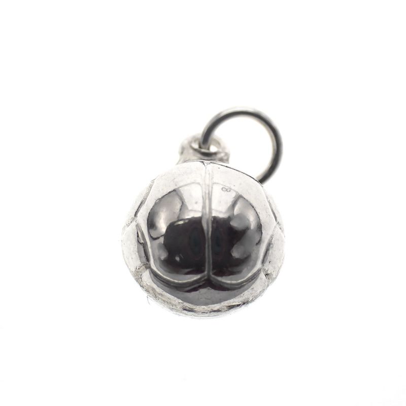 Image 1 of Silver charm; Volleyball