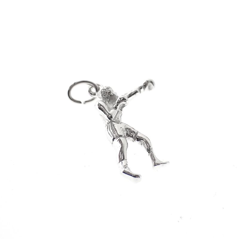 Image 3 of Silver charm; Boxer