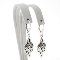 Silver fantasy earrings