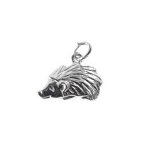 Silver charm; Hedgehog