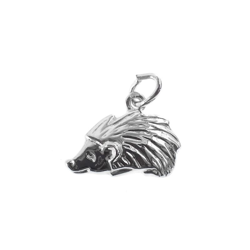 Image 1 of Silver charm; Hedgehog