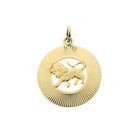 Image 1 of Fabiola gold zodiac sign pendant; Leo