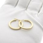 Image 9 of Golden earrings.