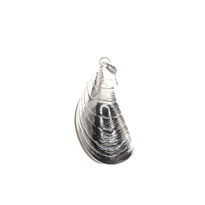 Image 1 of Silver charm; Shell
