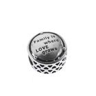 Image 3 of Pandora charm; Silver; Family Tree