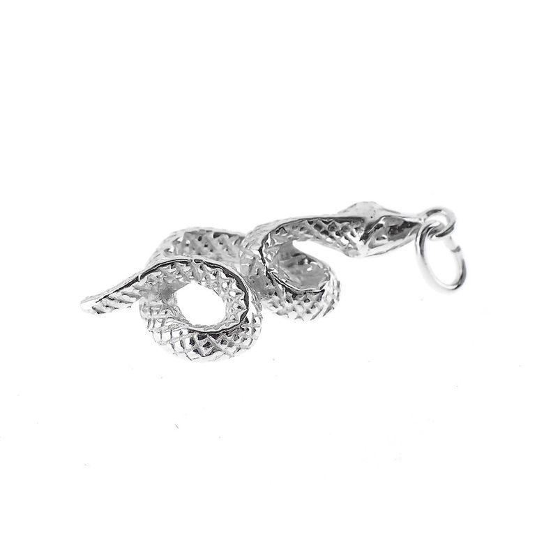 Image 6 of Silver charm; Snake