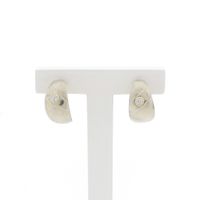 Silver fantasy earrings